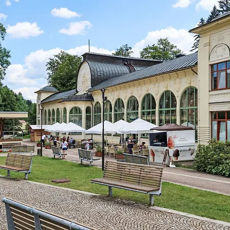 דירה U Svycarskeho Dvora I By Interhome יאנסקה לזנה