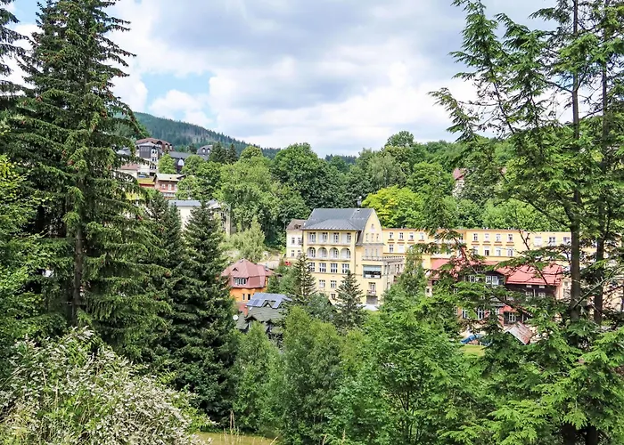 U Svycarskeho Dvora I By Interhome Apartment Johannisbad