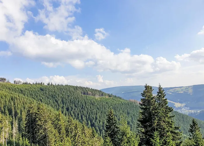 U Svycarskeho Dvora I By Interhome * Johannisbad