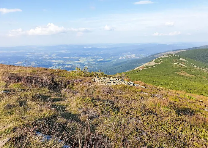 U Svycarskeho Dvora I By Interhome Johannisbad