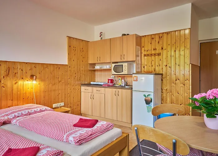U Svycarskeho Dvora I By Interhome Apartment Johannisbad